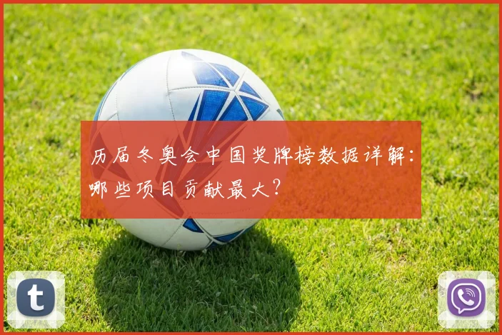 历届冬奥会中国奖牌榜数据详解：哪些项目贡献最大？