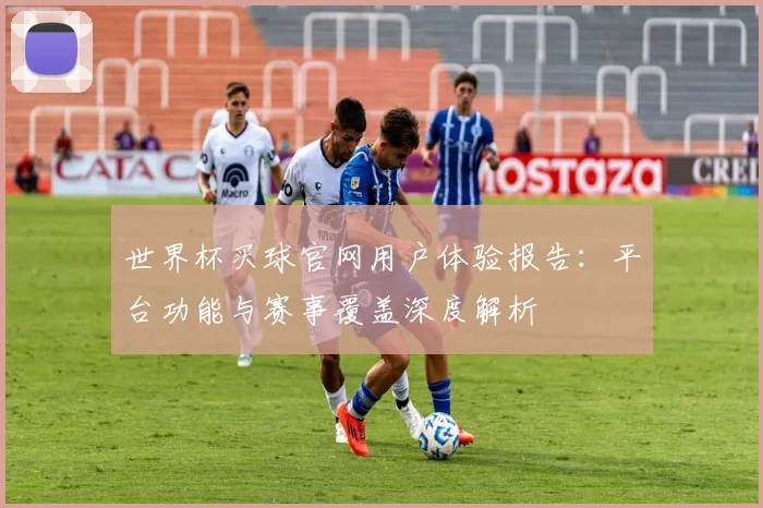 世界杯买球官网用户体验报告：平台功能与赛事覆盖深度解析