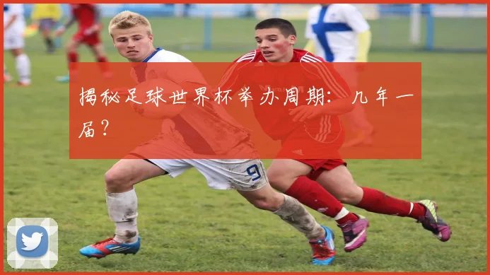揭秘足球世界杯举办周期：几年一届？