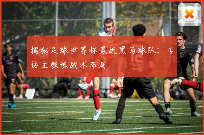 揭秘足球世界杯最近黑马球队：专访主教练战术布局