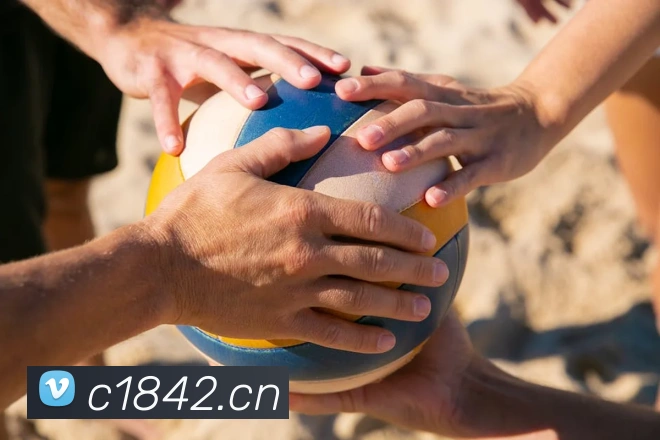 星空体育体育官方网站APP 封面图